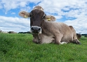 Allgäu 09 - 2014 - 20140921_0134 als Smartobjekt-1 Kopie